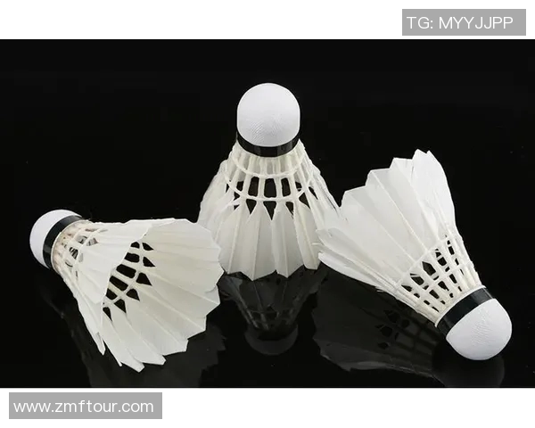 羽毛球装备选购指南及必备训练器材推荐助你提升技术水平